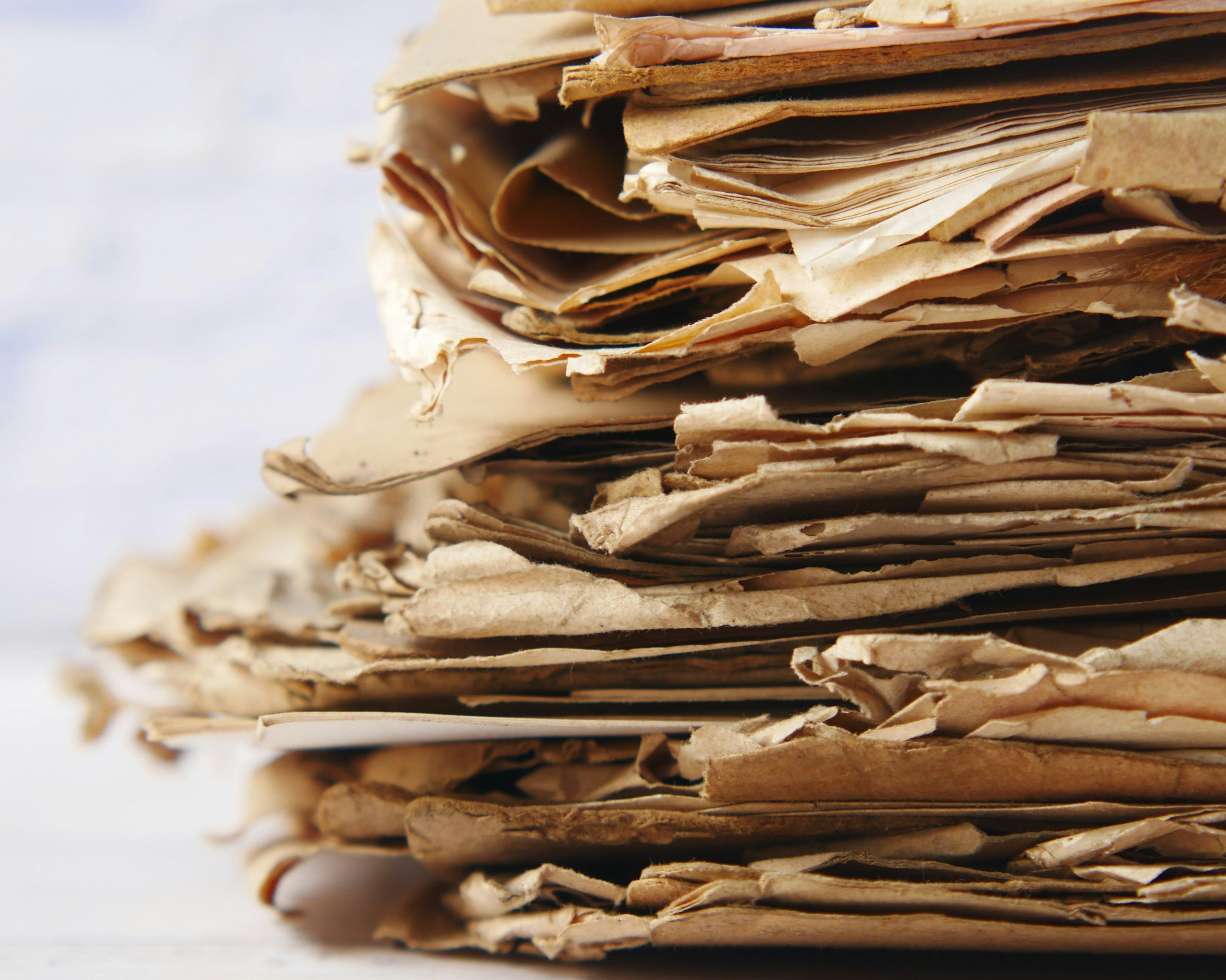 Shroomcacao Verpackung