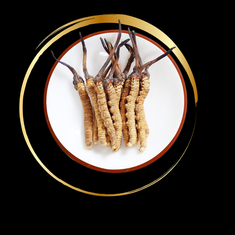 150g Shroomcacao Bundle - Rohkakao mit Vitalpilzen